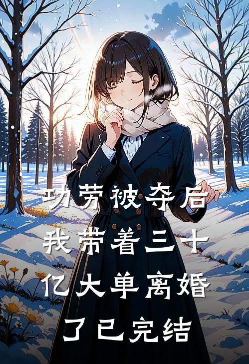 功劳被夺后，我带着三十亿大单离婚了已完结