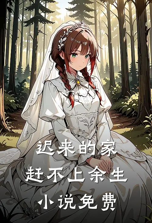 迟来的家，赶不上余生小说免费