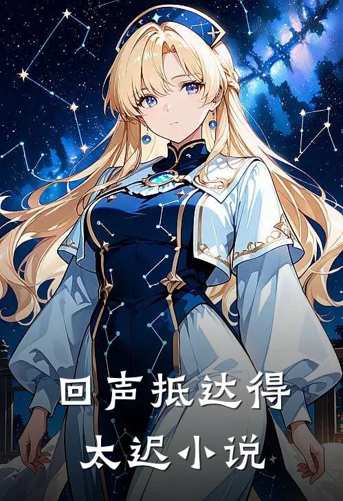 回声抵达得太迟小说