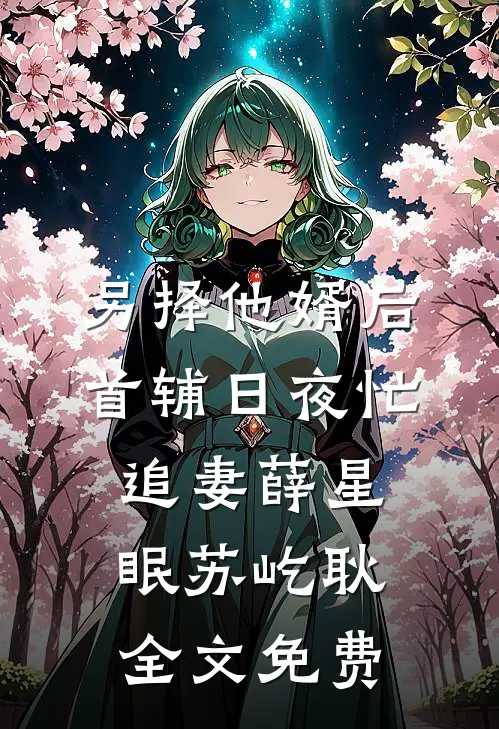 另择他婿后，首辅日夜忙追妻薛星眠苏屹耿全文免费