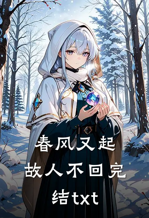 春风又起，故人不回完结txt