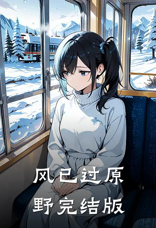 风已过原野完结版