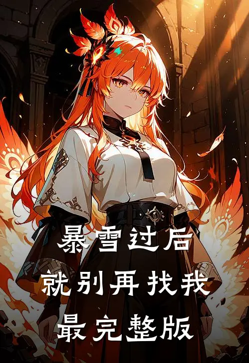 暴雪过后，就别再找我最完整版