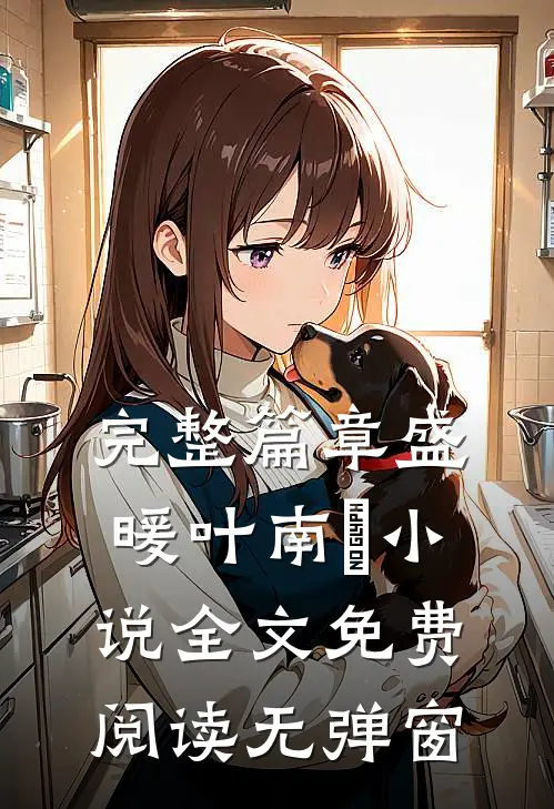 完整篇章盛暖叶南烆小说全文免费阅读无弹窗