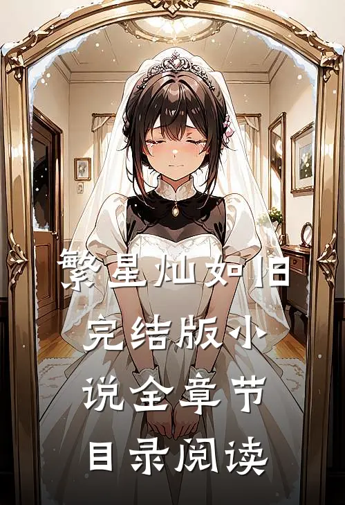 繁星灿如旧完结版小说全章节目录阅读