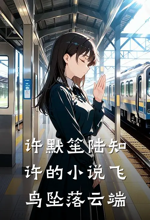 许默笙陆知许的小说飞鸟坠落云端