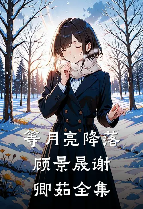 等月亮降落顾景晟谢卿茹 全集
