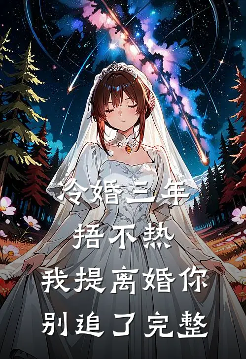 冷婚三年捂不热，我提离婚你别追了完整
