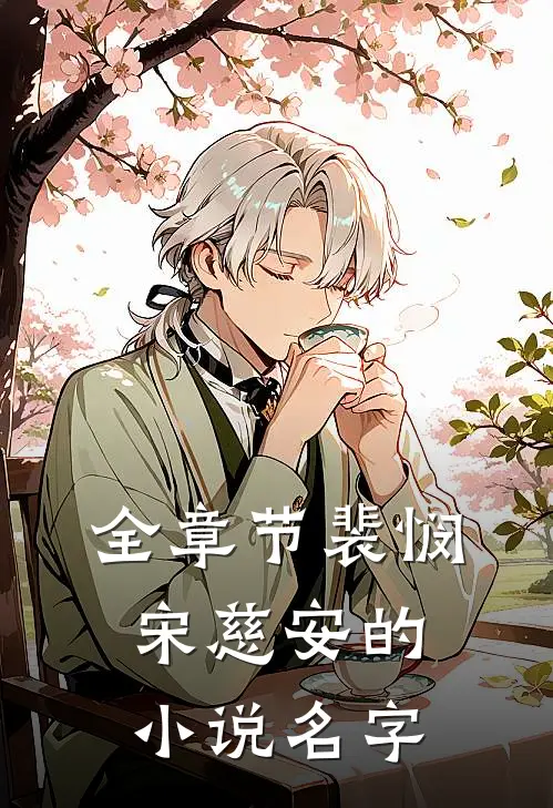 全章节裴悯宋慈安的名字是