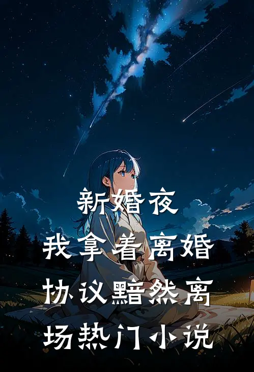 新婚夜，我拿着离婚协议黯然离场热门小说