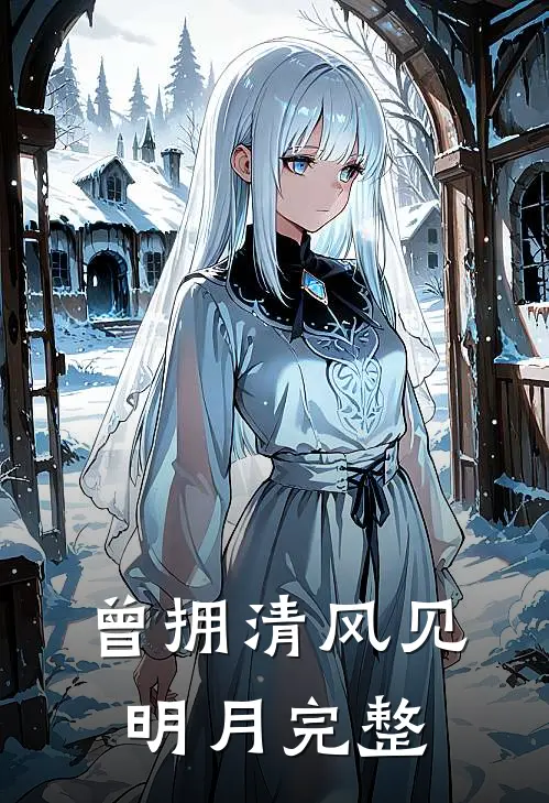 曾拥清风见明月完整